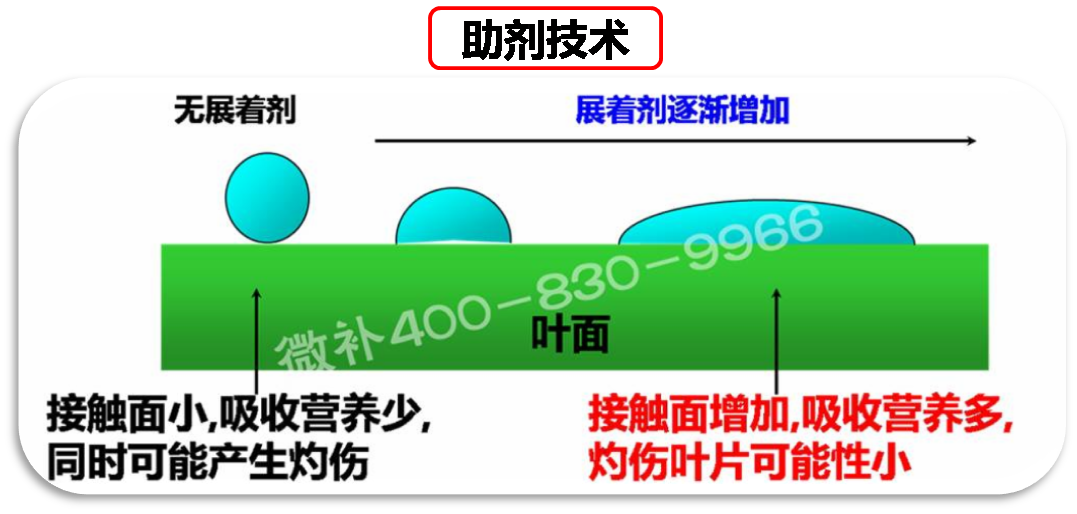 余教授德國鄉(xiāng)村行：我在德國為什么不會點啤酒了？