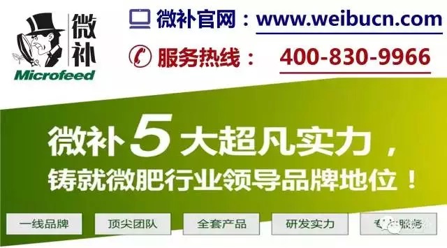 余教授奧地利維也納行：不懂音樂的農(nóng)民教授，在音樂之都的感受